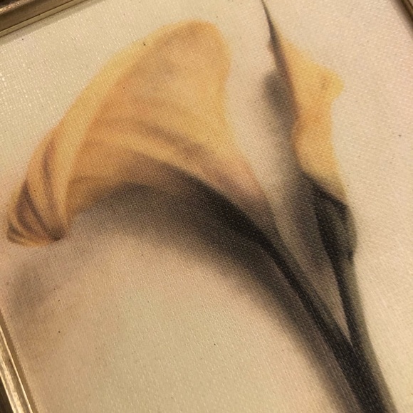 π¦Framed Flower Canvas Prints - Picture 6 of 8